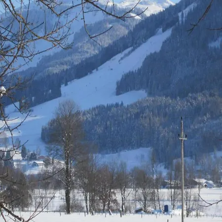 In Saalfelden Near Slopes, Cleaning Included Lanthal